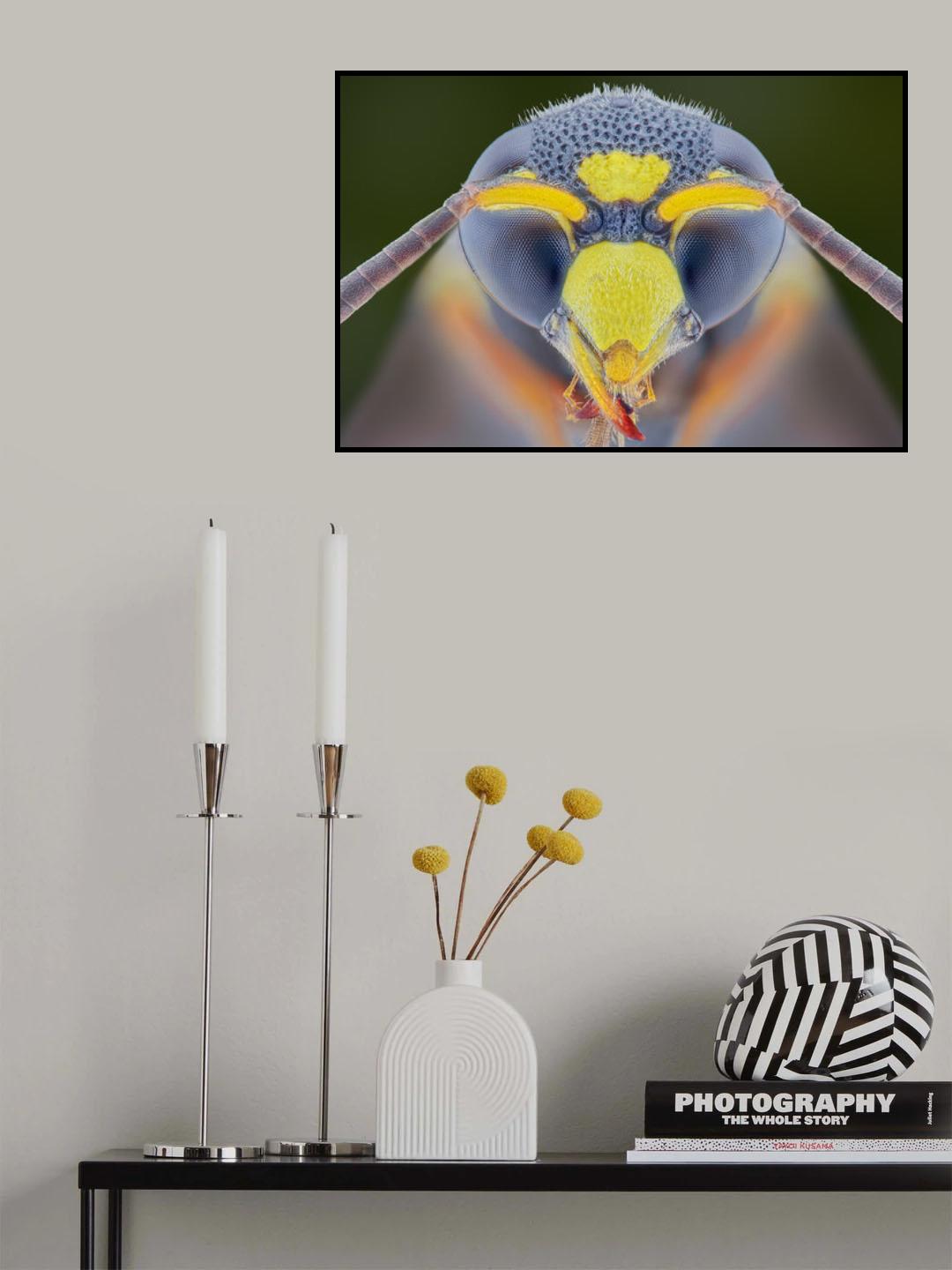 Yellow Jacket Poster och Canvastavla