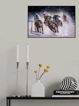 Flat race Poster och Canvastavla