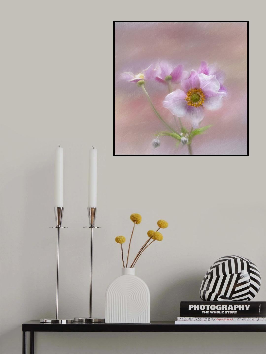 Pink Japanese Anenome Poster och Canvastavla