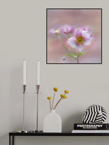 Pink Japanese Anenome Poster och Canvastavla