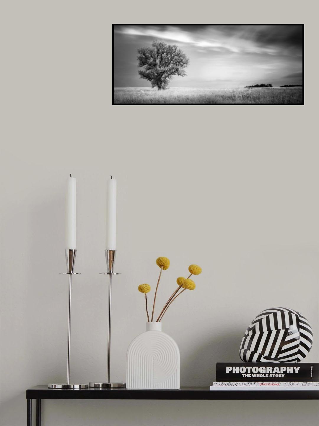 You must believe in spring Poster och Canvastavla