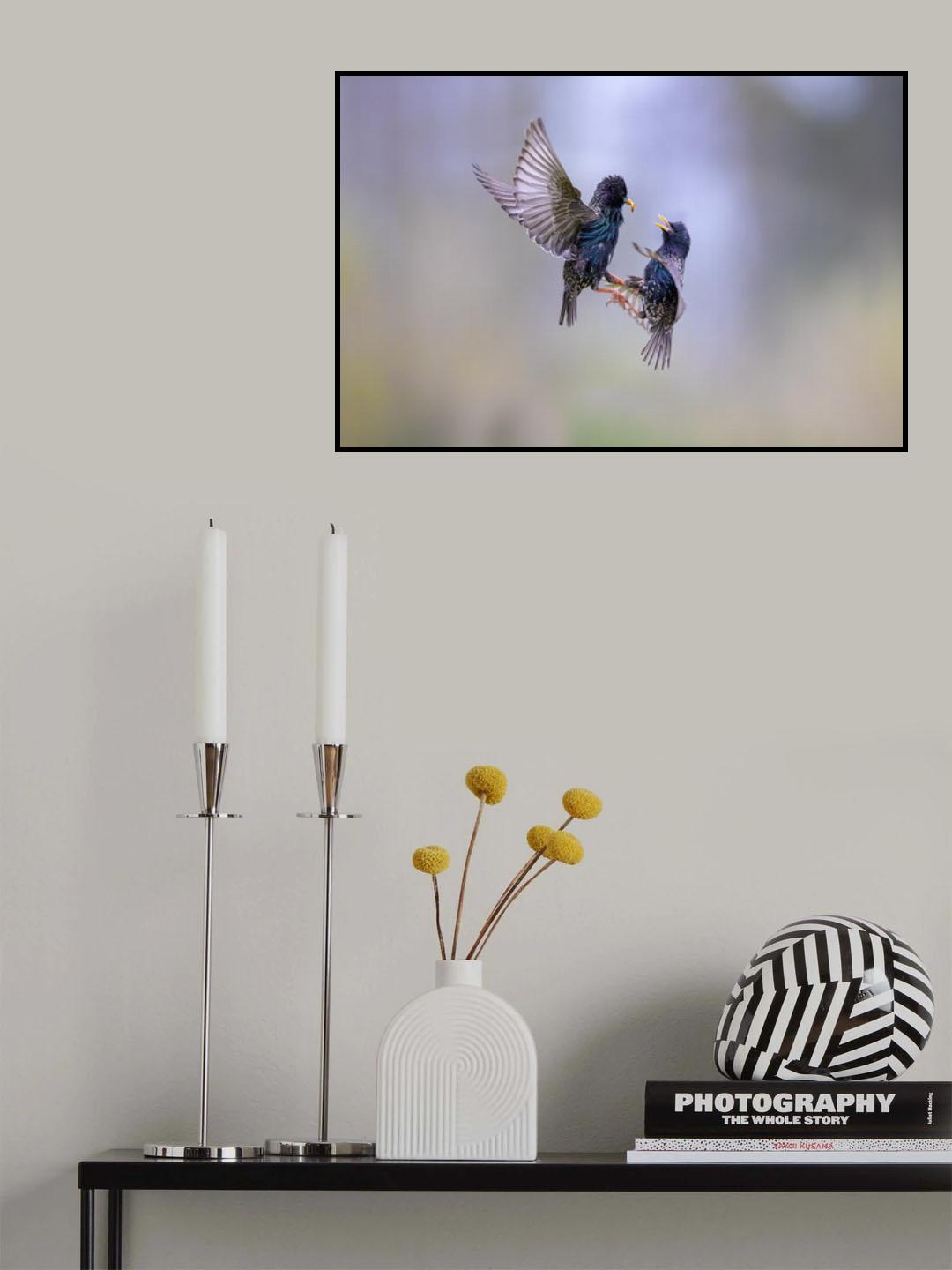 Battle for a worm Poster och Canvastavla