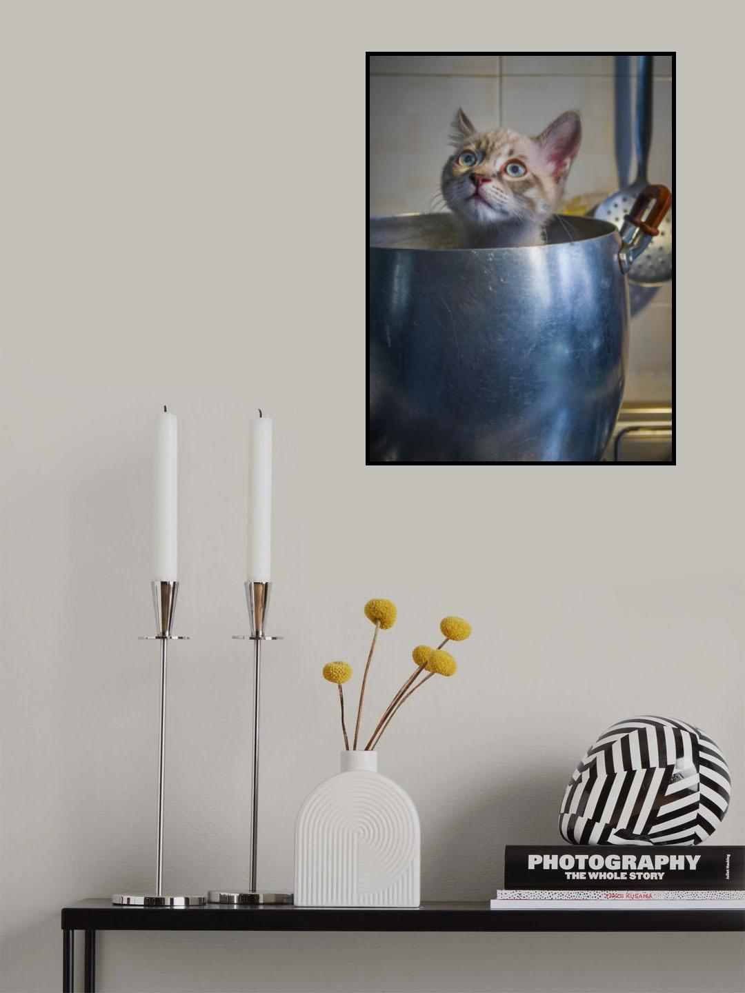 You're not serious are you? Poster och Canvastavla