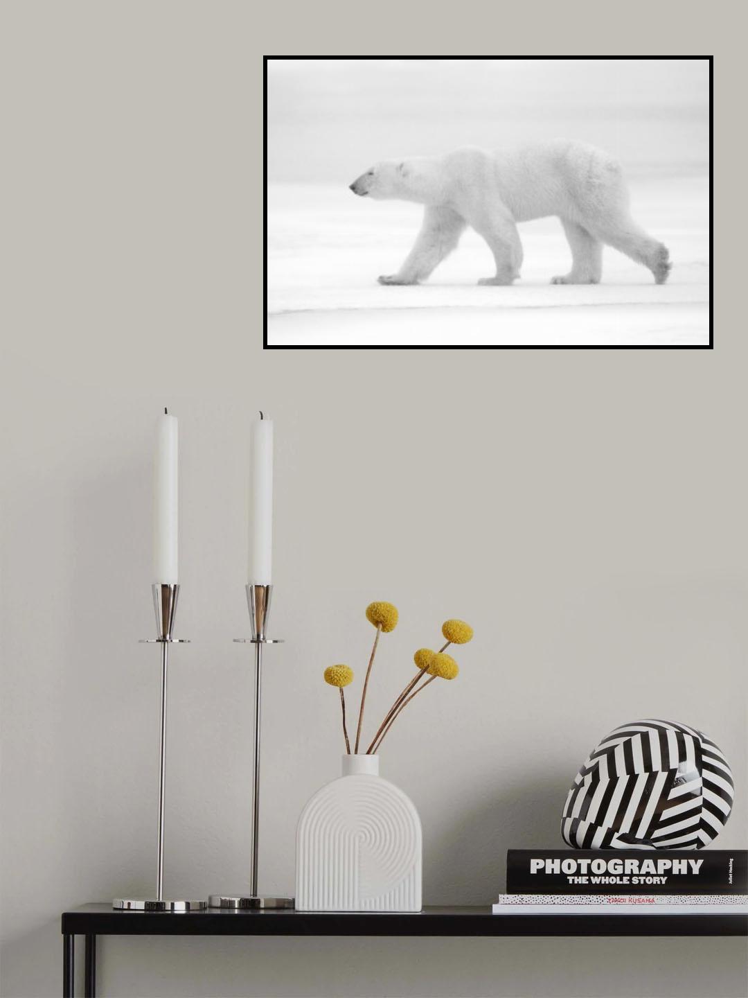 Just  white Poster och Canvastavla