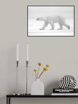 Just  white Poster och Canvastavla