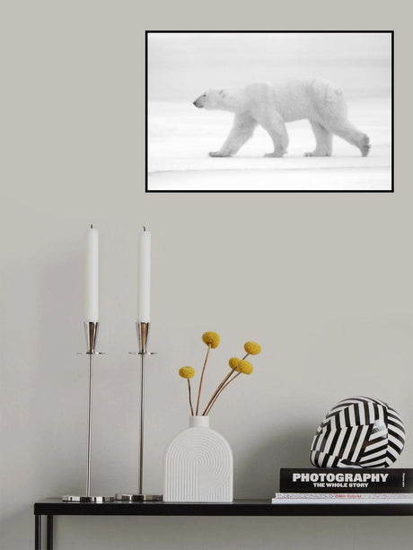 Just  white Poster och Canvastavla