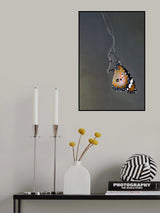 Butterfly on Gossamer Poster och Canvastavla