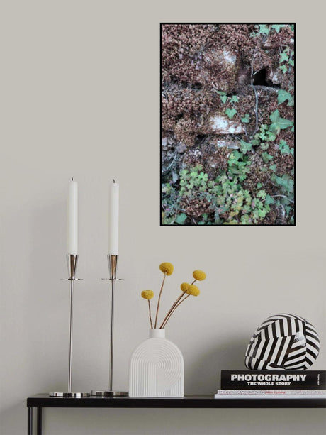 Climbing Poster och Canvastavla