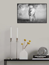And there came a white horse Poster och Canvastavla