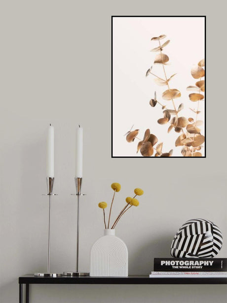 Eucalyptus Gold No 05 Poster och Canvastavla