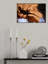 Lizard in Abandoned House Poster och Canvastavla