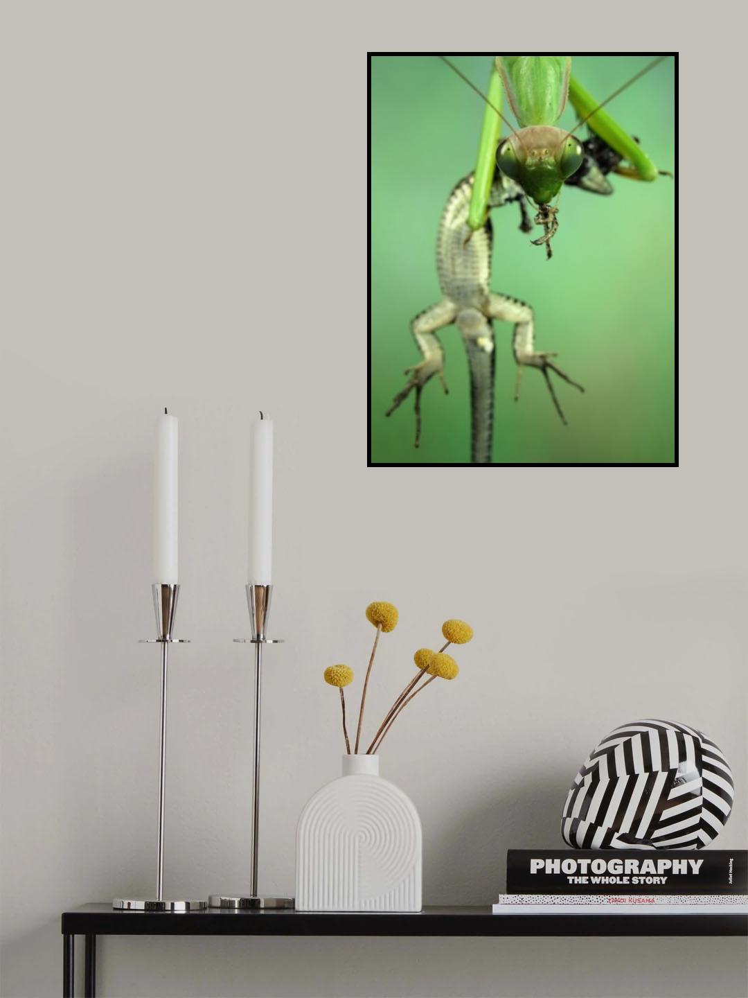 Predator Poster och Canvastavla