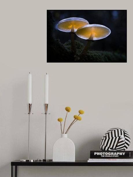 Porcelain Mushroom Poster och Canvastavla