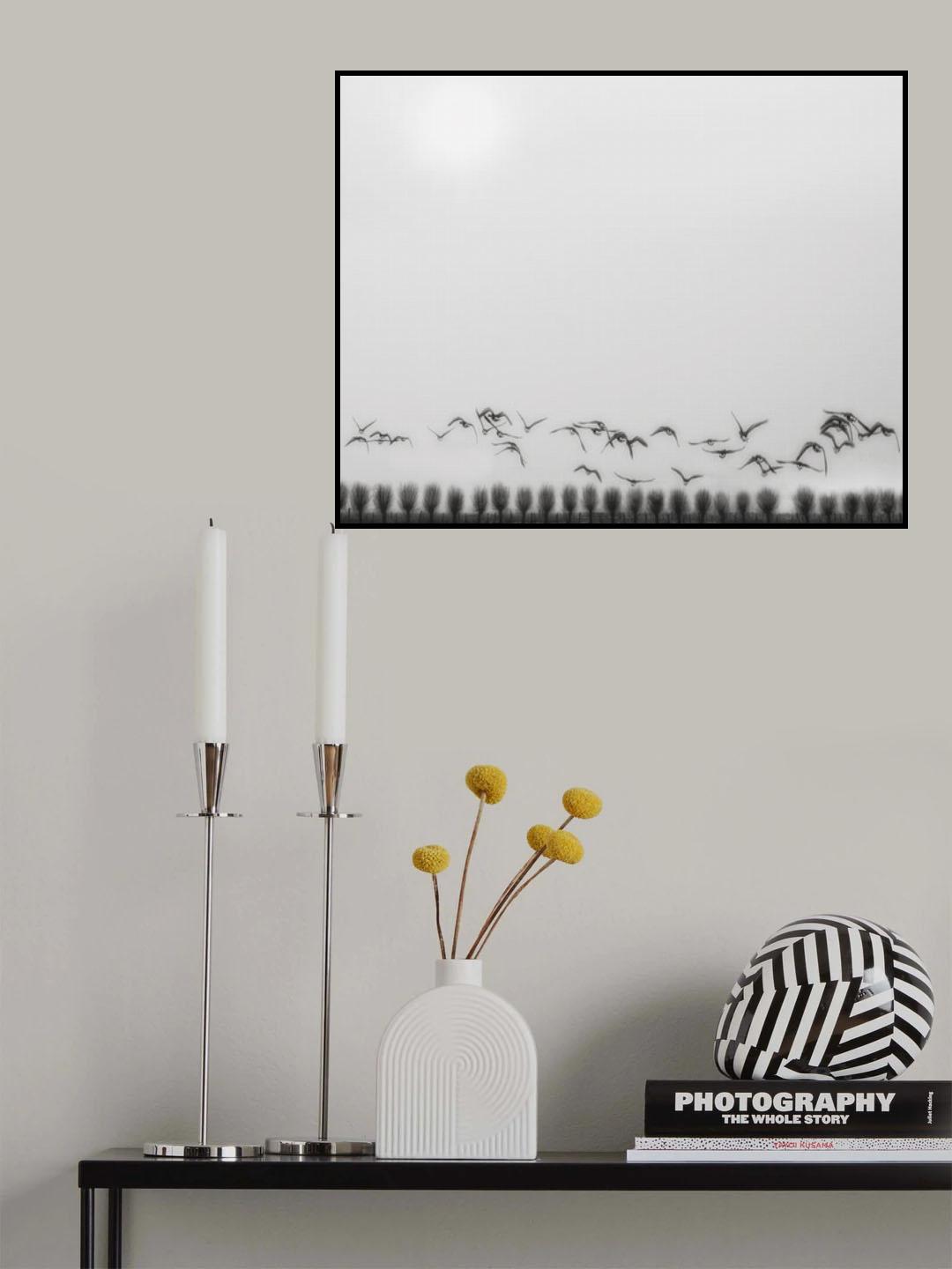 Seagulls over the fields Poster och Canvastavla