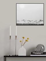 Seagulls over the fields Poster och Canvastavla