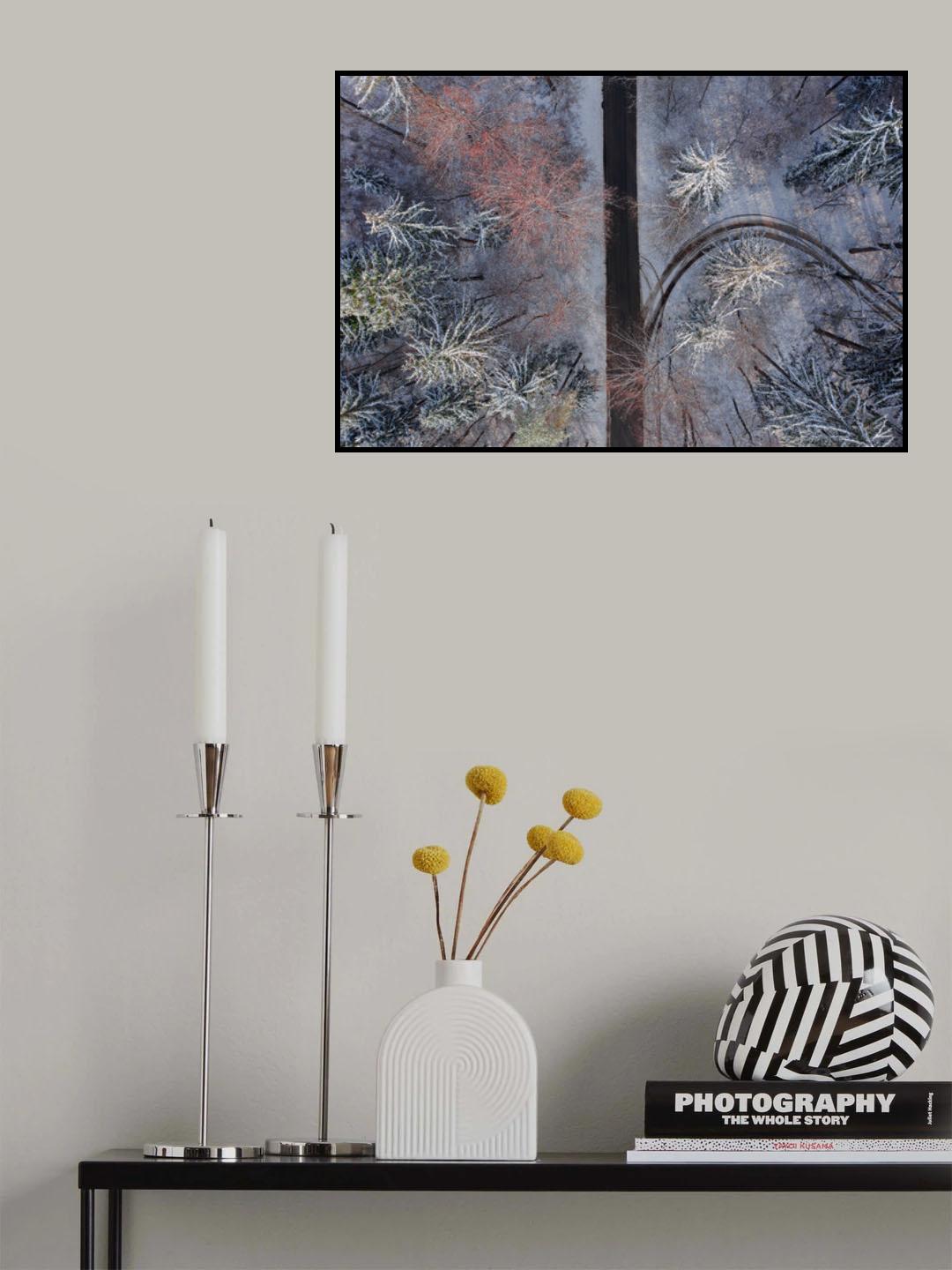Forest exit Poster och Canvastavla