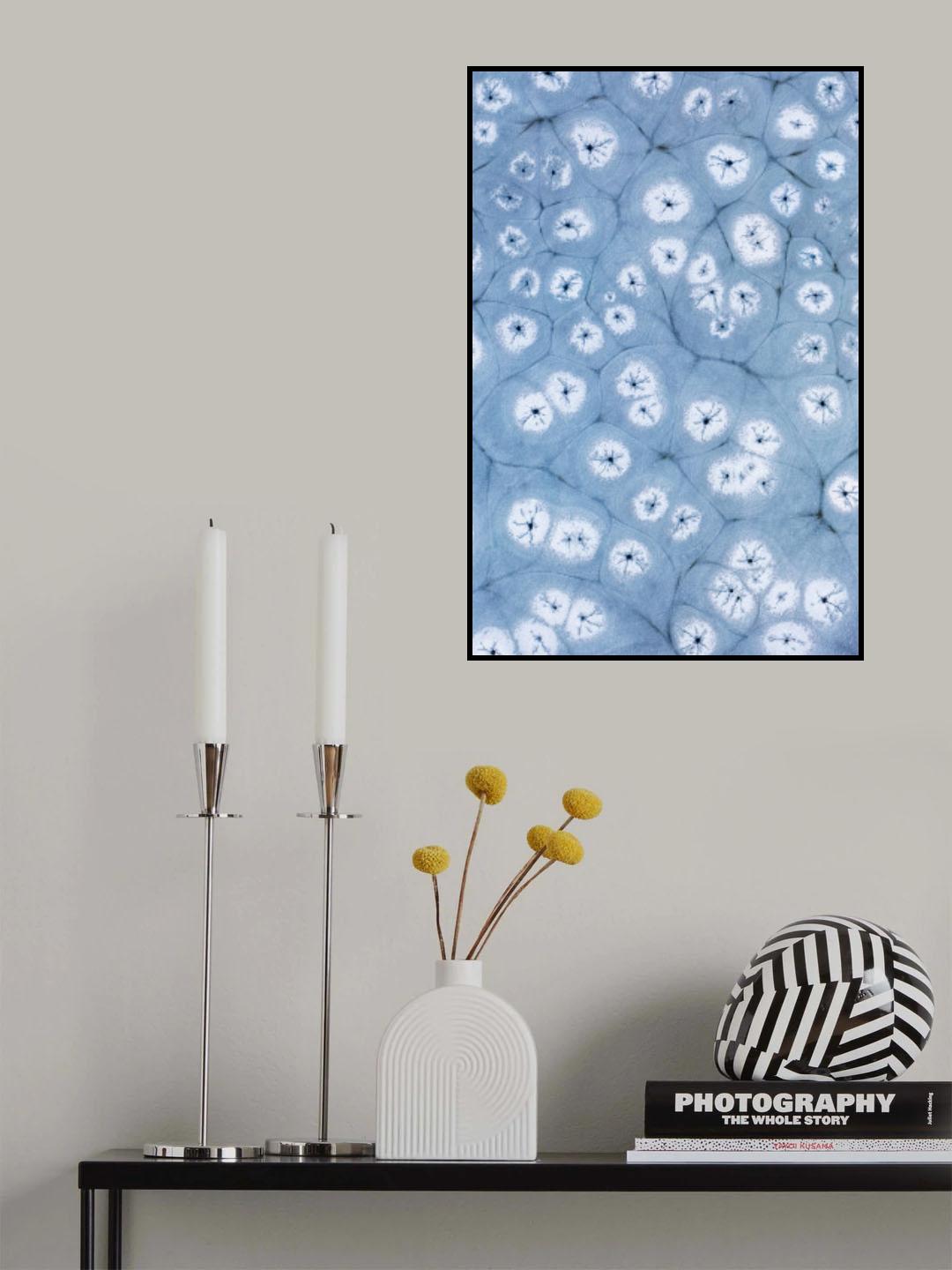 Ice Flowers Poster och Canvastavla