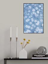 Ice Flowers Poster och Canvastavla