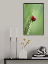 Summer calmness II Poster och Canvastavla