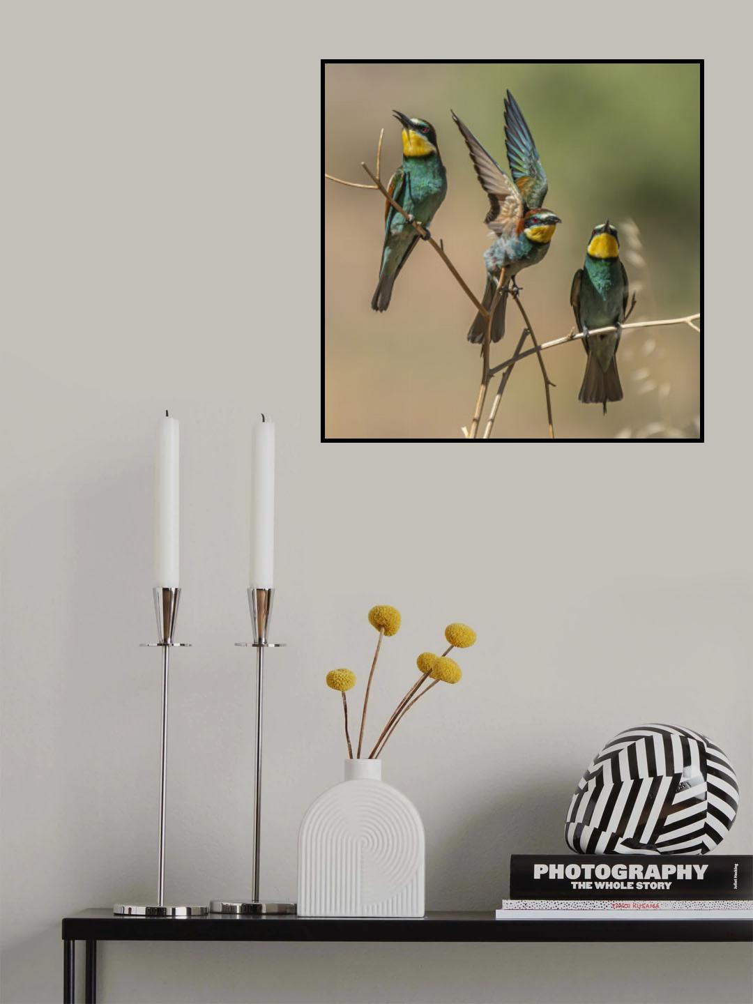 Bee-eaters Poster och Canvastavla