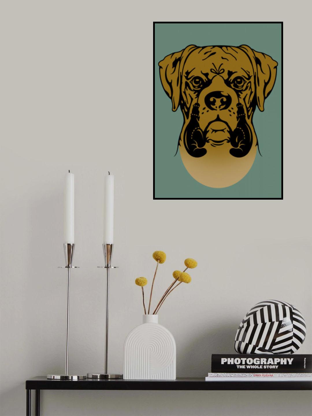 BOXER Poster och Canvastavla
