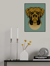 BOXER Poster och Canvastavla