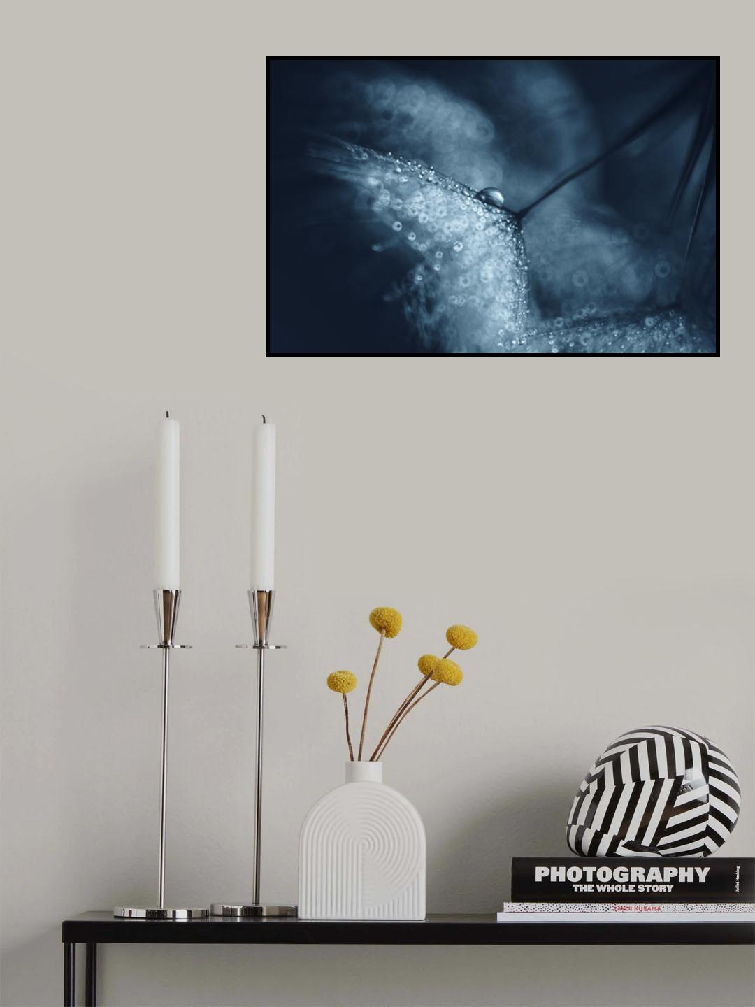 Blue dandelions Poster och Canvastavla