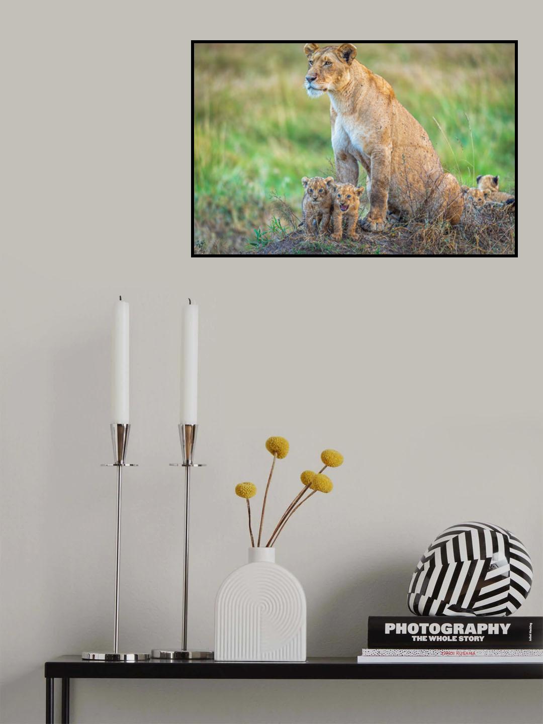 First introduction to the pride Poster och Canvastavla