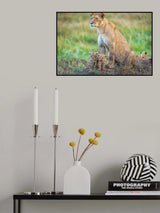 First introduction to the pride Poster och Canvastavla