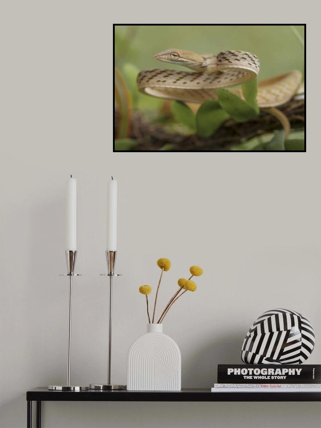 Ular Pucuk Abino Poster och Canvastavla