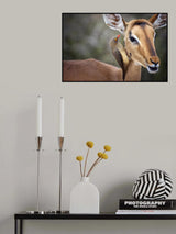 Symbiosis Poster och Canvastavla