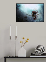 Poster och Canvastavla