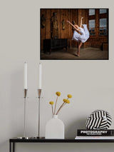 Dance under supervision... Poster och Canvastavla