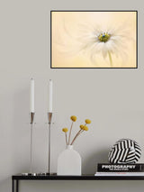 Melody Poster och Canvastavla