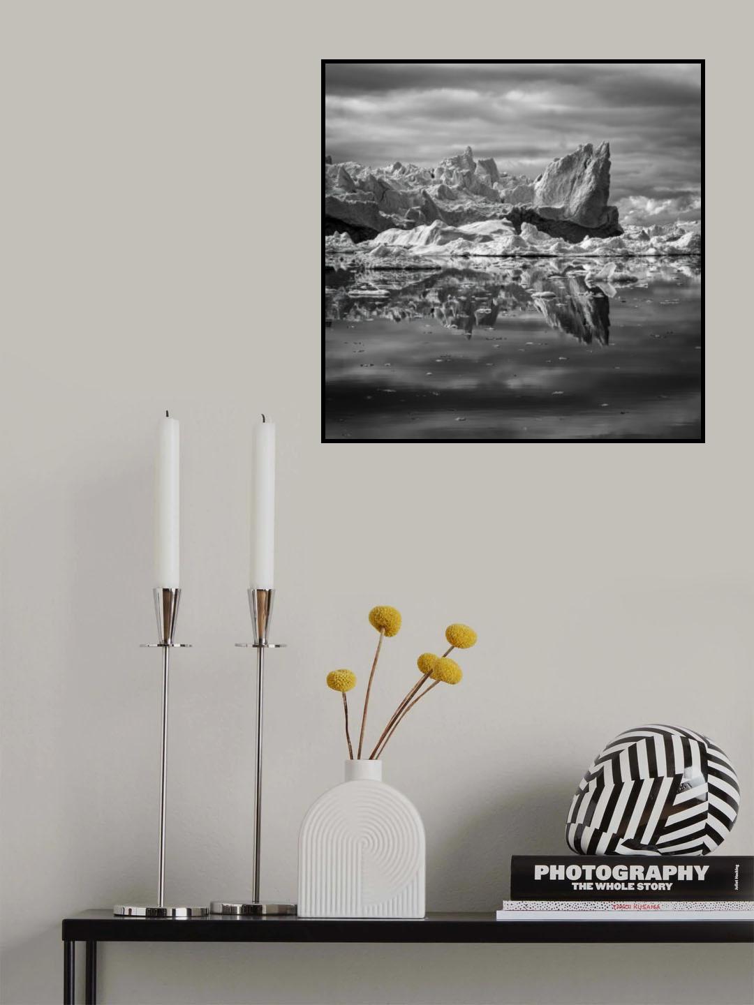 Transience Poster och Canvastavla