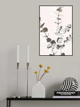 Eucalyptus Creative 12 Poster och Canvastavla