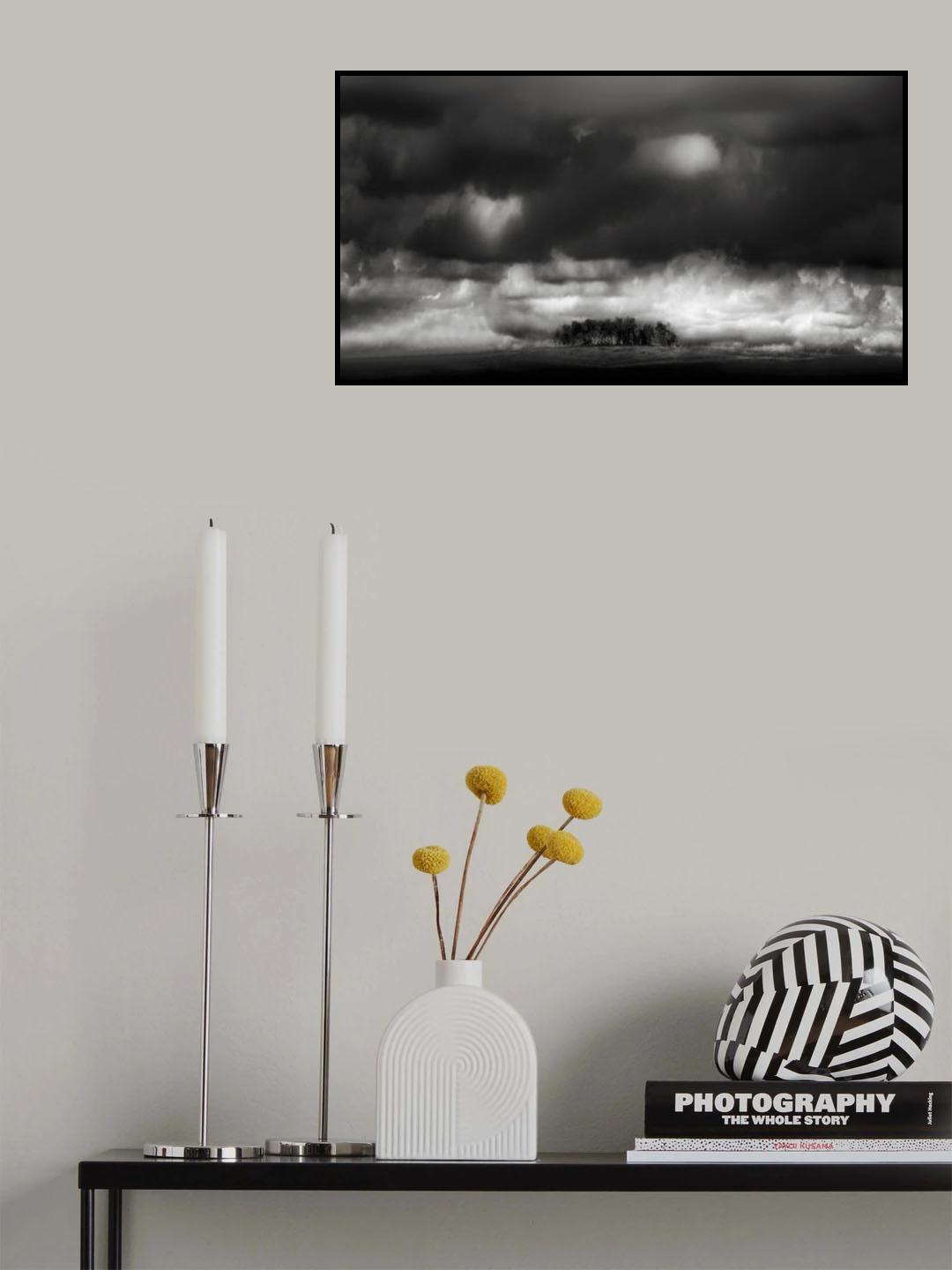 Silent trees hooded by resting clouds Poster och Canvastavla