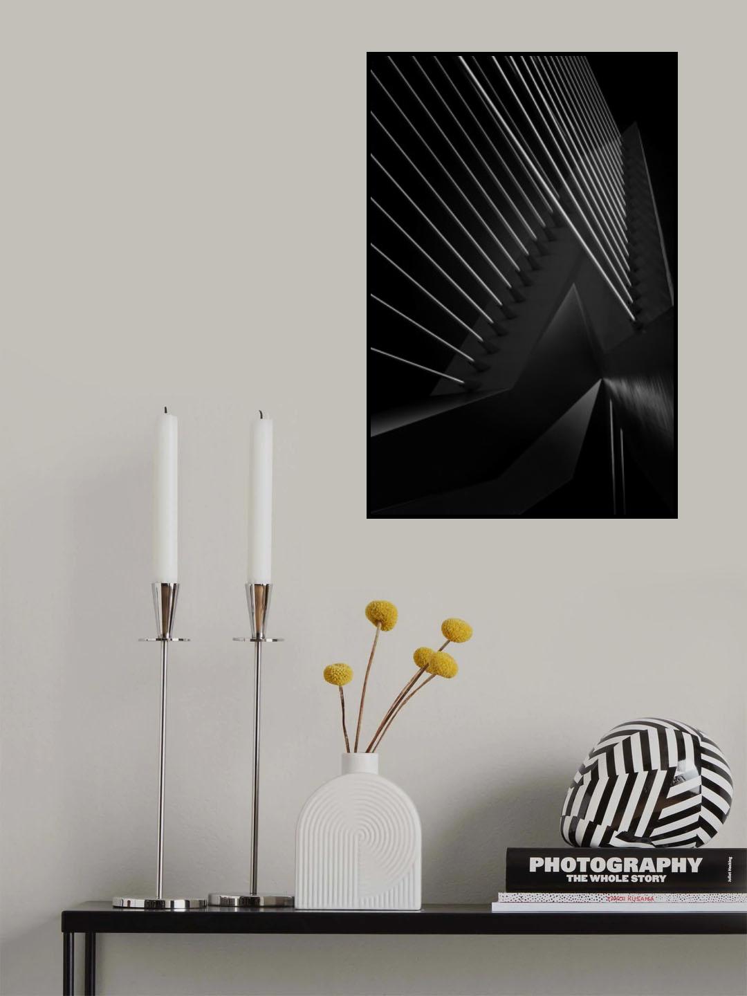 Black Swan Poster och Canvastavla
