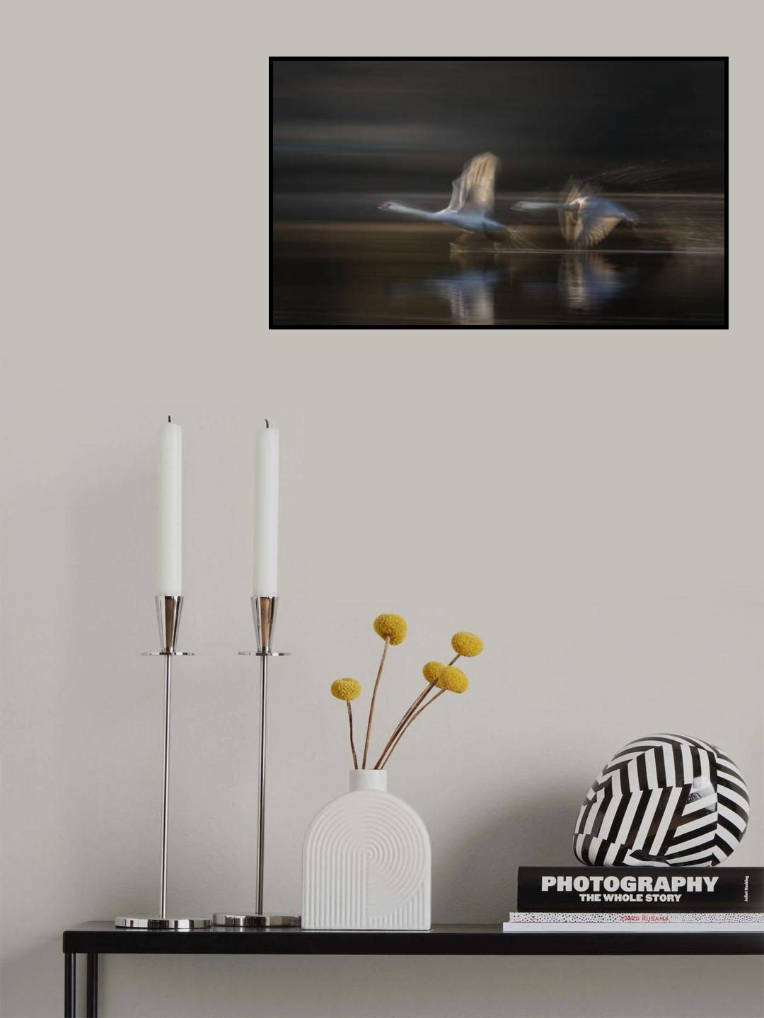 Flying to the light Poster och Canvastavla