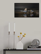 Flying to the light Poster och Canvastavla