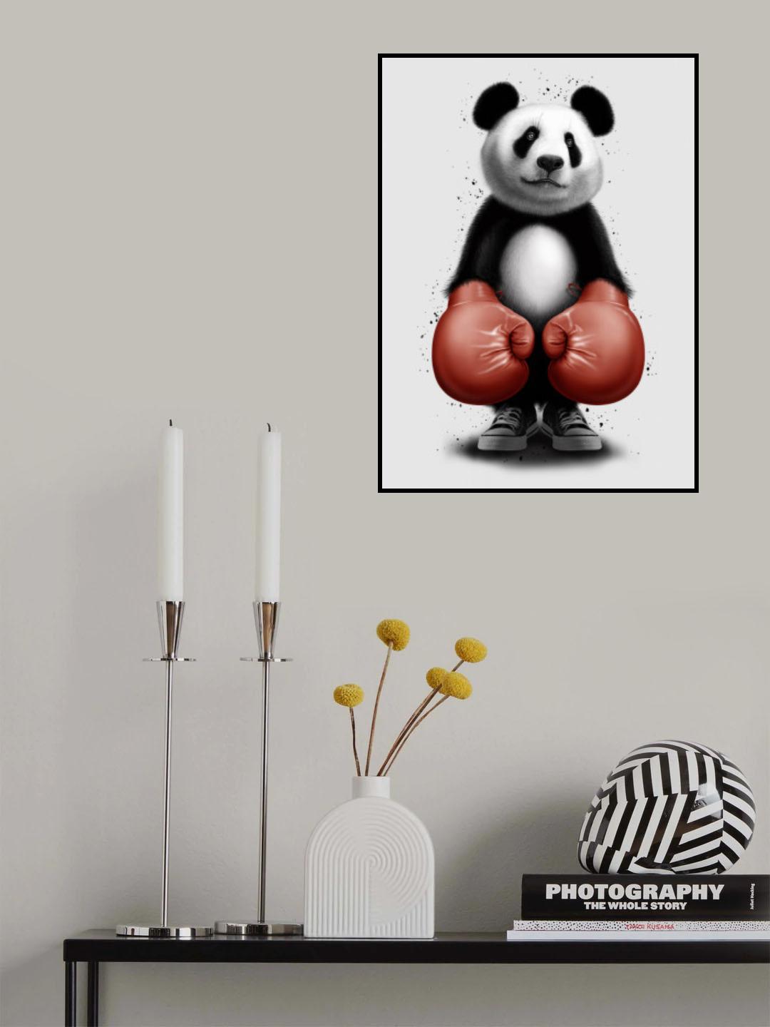 PANDA BOXER Poster och Canvastavla