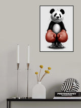 PANDA BOXER Poster och Canvastavla