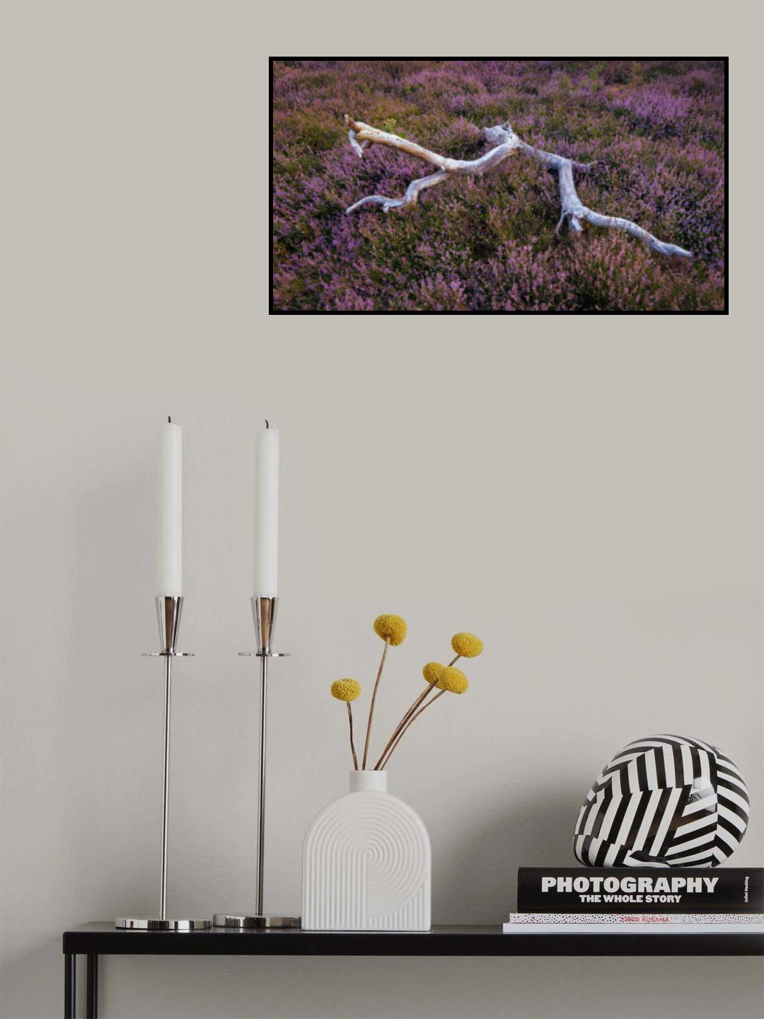 Heather field Poster och Canvastavla