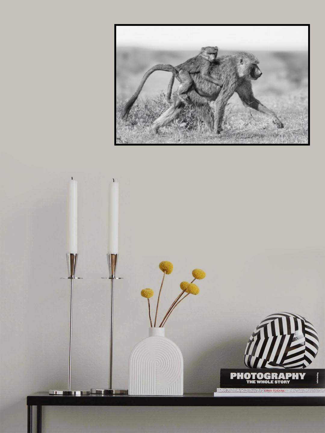 Uber in the wild Poster och Canvastavla
