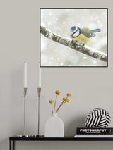 blue tit in a snowstorm Poster och Canvastavla