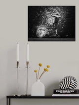 Irreversible Poster och Canvastavla