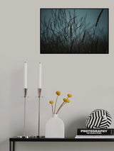 Dark Nature Poster och Canvastavla