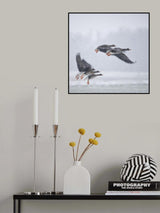 Take off! Poster och Canvastavla