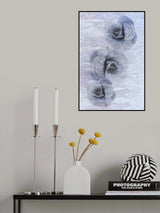 Traces of fading beauty Poster och Canvastavla