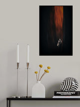 Secret d'Abyssinie Poster och Canvastavla